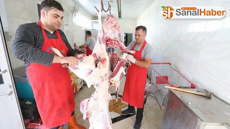 Hayat Ağacı'na 742 hisse