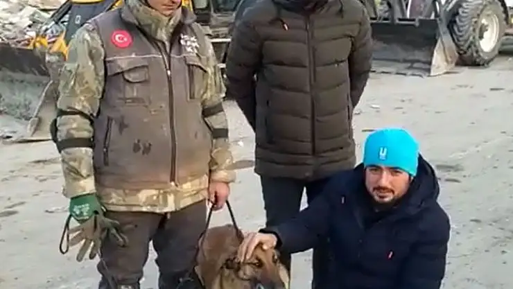 'Hayat kurtarırken yaralanan hassas burun ´Sıla´ tekrar görev başında'