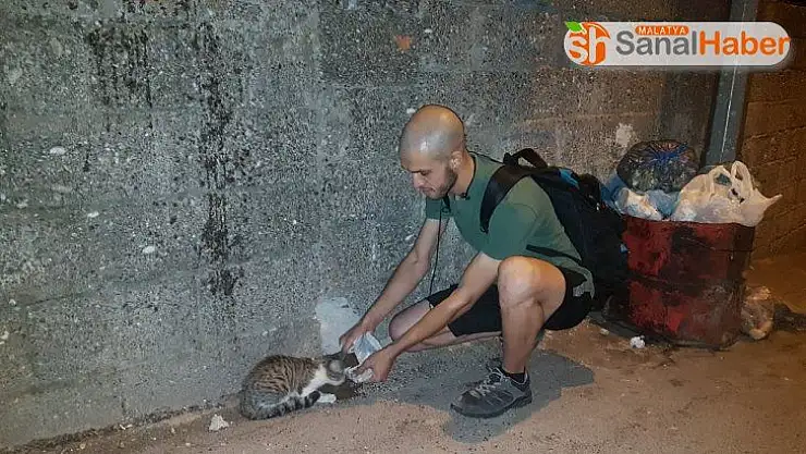 Hayatını sokak hayvanlarına adadı