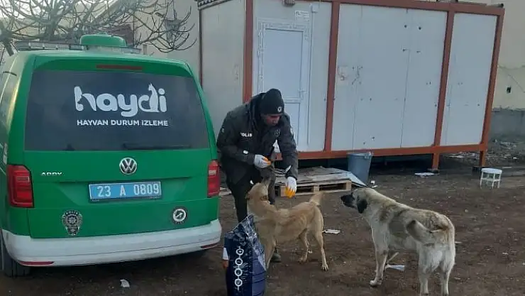 'HAYDİ, deprem bölgesindeki can dostlarını yalnız bırakmadı'