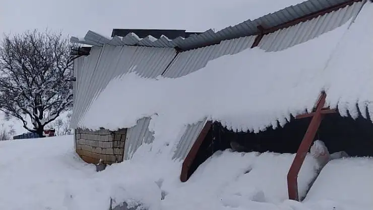 'Hayvan çiftliğinin çatısı çöktü'