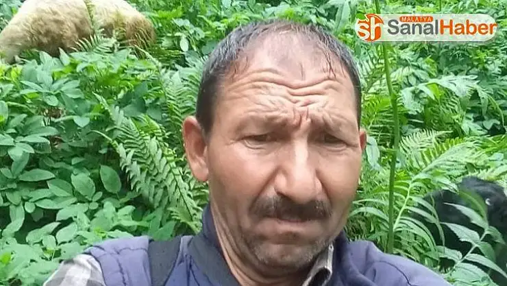 Hayvan otlatmaya gitti cesedi bulundu