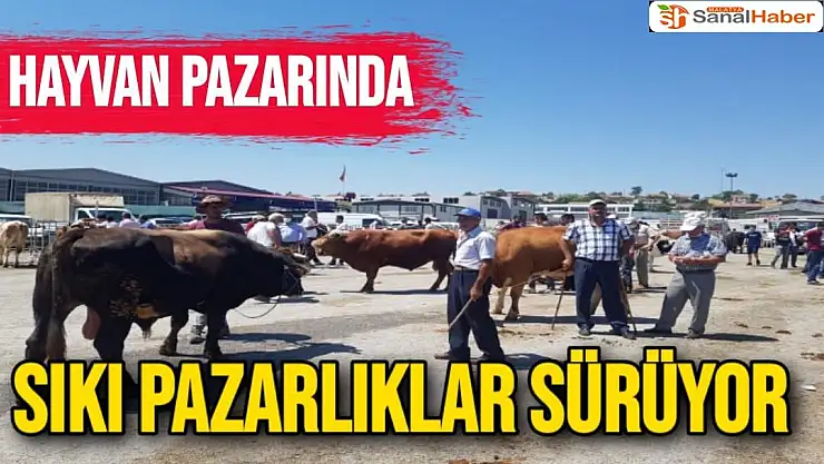 Hayvan pazarında sıkı pazarlıklar sürüyor