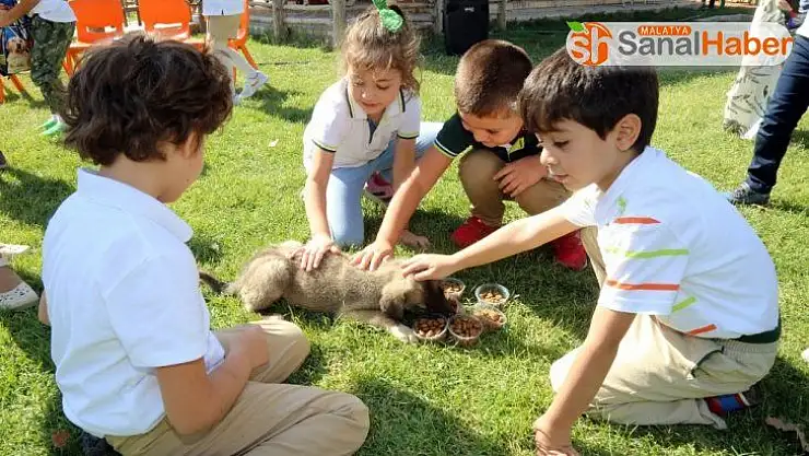 Hayvan sevgisini aşılayan örnek proje
