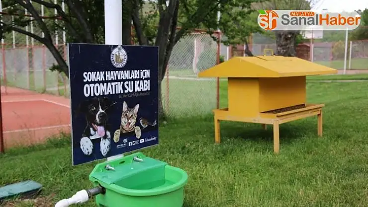 Hayvanlar susuz kalmıyor, su israf edilmiyor