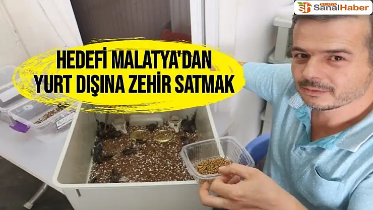 Hedefi Malatya'dan yurt dışına zehir satmak