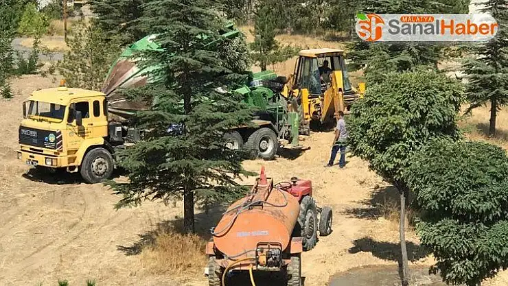 Hekimhan Belediyesi yol çalışma alanındaki ağaçları taşıyor