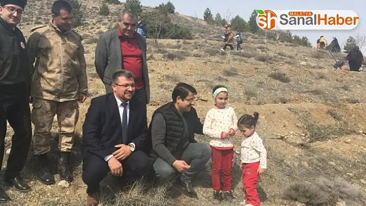 Hekimhan'da fidanlar toprakla buluşturuldu