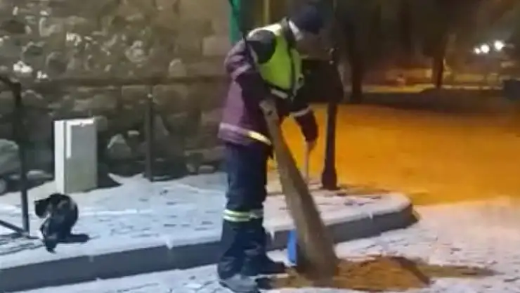 'Hem çevreyi temizliyor hem de sokak kedisine süpürgesi ile masaj yapıyor'
