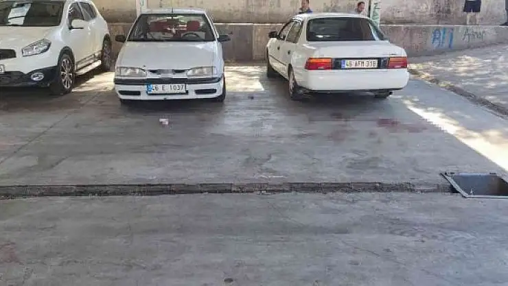 'Hem silahla hem bıçakla yaraladılar'