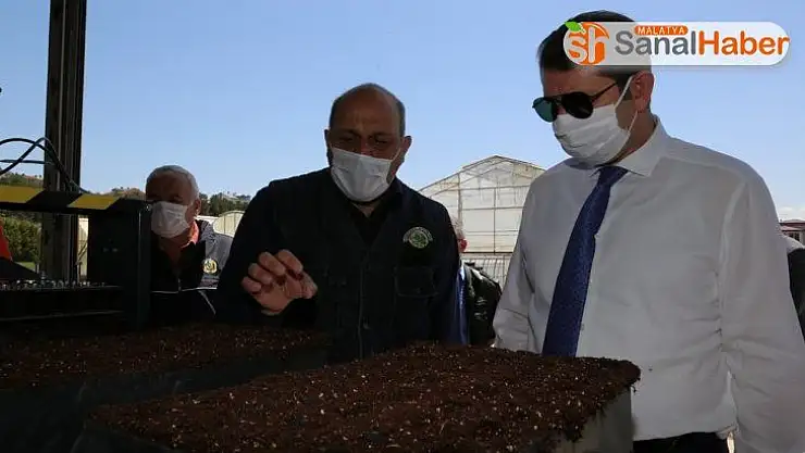 Her Sivaslı için bir fidan dikilecek