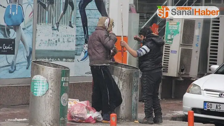 Hiçbir şeye aldırmadan çöp bidonuna daldılar
