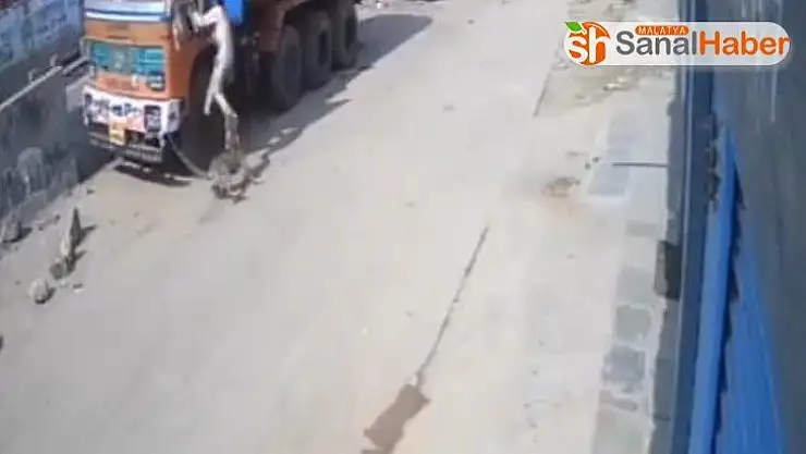Hindistan'da leopar saldırısından son anda kurtuldu