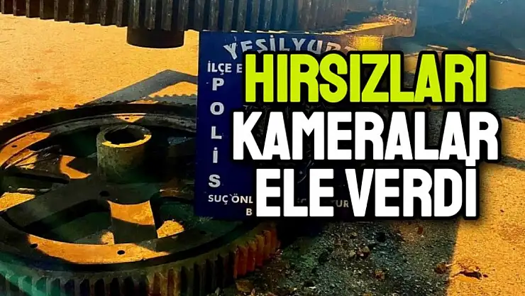 Hırsızları kameralar ele verdi