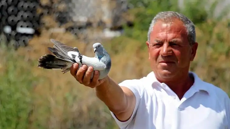'Hobi sektöre dönüştü, birçok aile bundan geçimini sağlıyor'