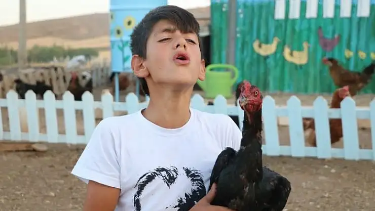 'Horozlarla atışıyor, tavuklar onu horoz sanıyor'