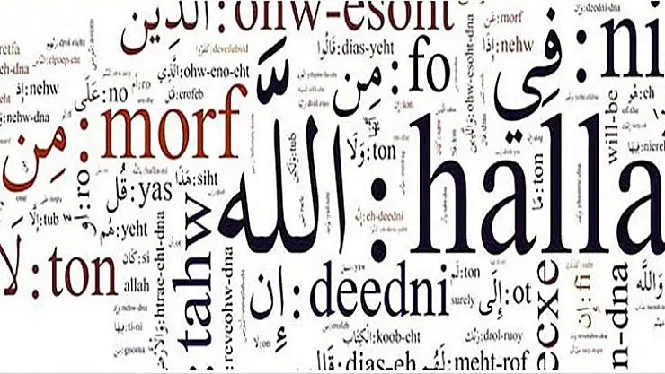 Hukuki Tercüme İşlemleri 