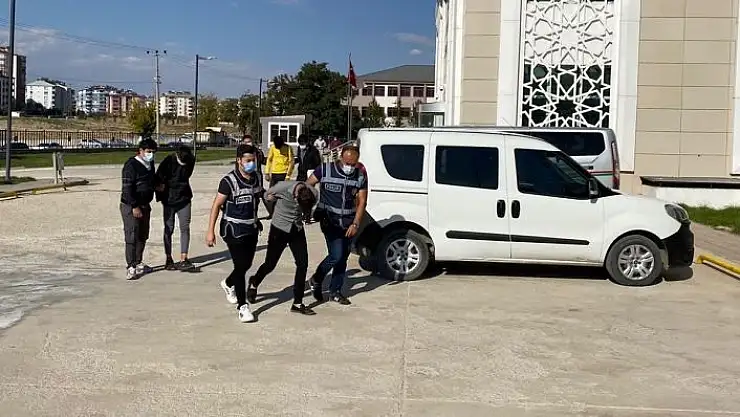 'İçinde arı dolu kovanı bile çalan şebekenin 3 üyesi tutuklandı'