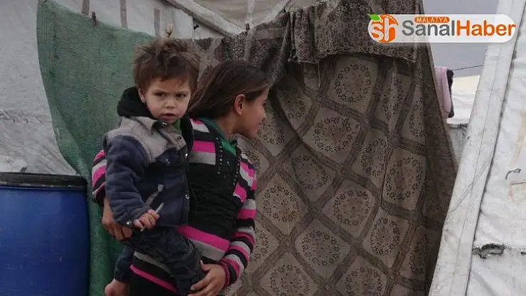 İdlib'ten kaçan siviller çadırlarda barınmaya çalışıyor