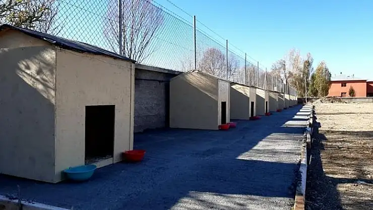 'İmranlı´da sokak hayvanları için barınak inşa edildi'