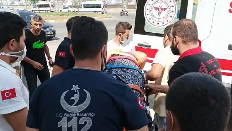 'İncir ağacından düşen kadın yaralandı'