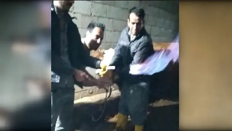 'İneğin midesindeki metan gazı yakıldı, görüntüsü şaşırttı'