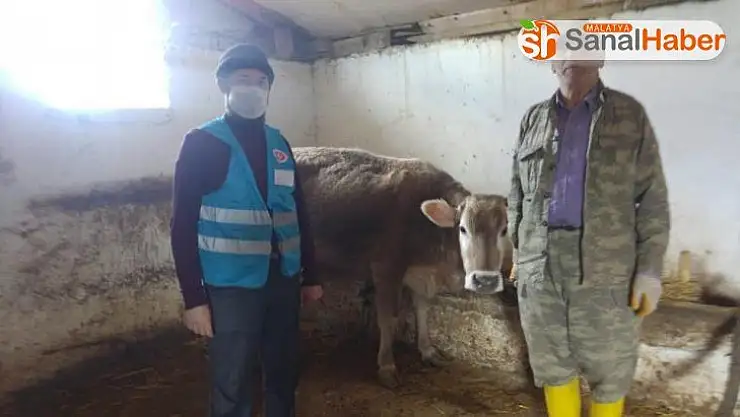 İneğini satarak, Milli Dayanışma Kampanyasına bağışladı.