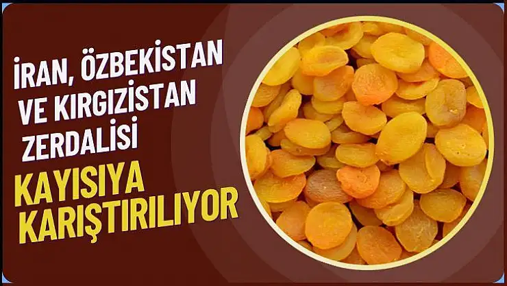 İran, Özbekistan ve Kırgızistan zerdalisi kayısıya karıştırılıyor