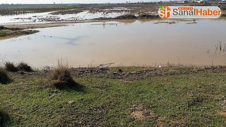 İsrail baraj kapaklarını açtı: Gazzeli çiftçiler 350 bin dolar zarar etti