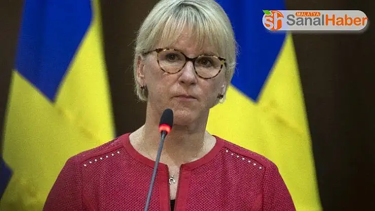 İsveç Dışişleri Bakanı Wallstorm istifa etti