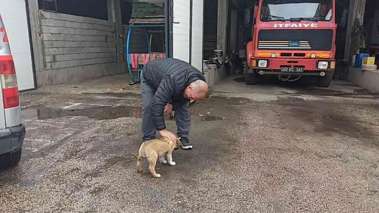 'İtfaiye ekipleri yavru köpeği sahiplendi'