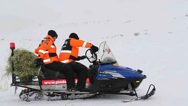 'JAK ve HAYDİ ekipleri yaban hayatı için seferber oldu'