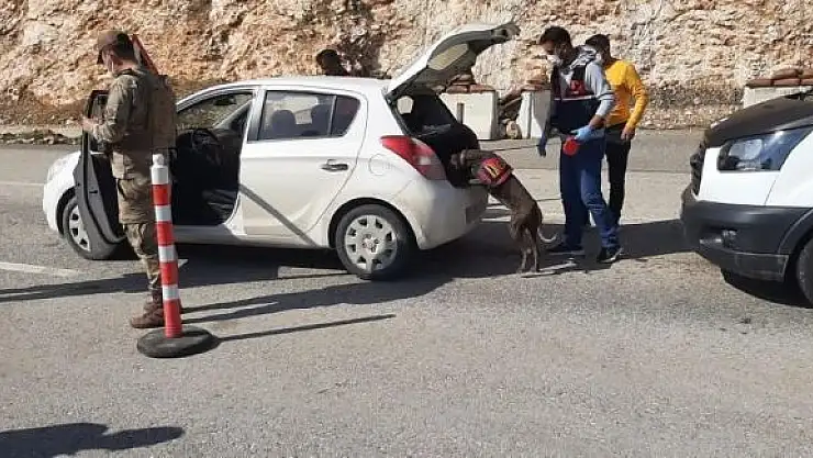 'Jandarma 6 ayda 1 milyondan fazla kişiyi sorguladı'