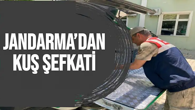 Jandarma´dan kuş şefkati