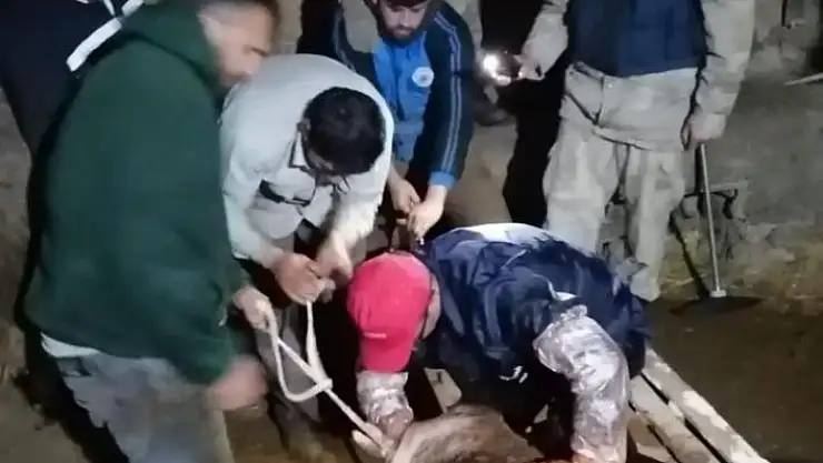 'Jandarma ekipleri ineğe doğum yaptırdı'