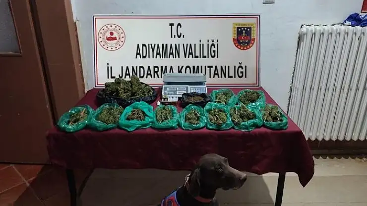 'Jandarma ekiplerinden uyuşturucuya geçit yok'