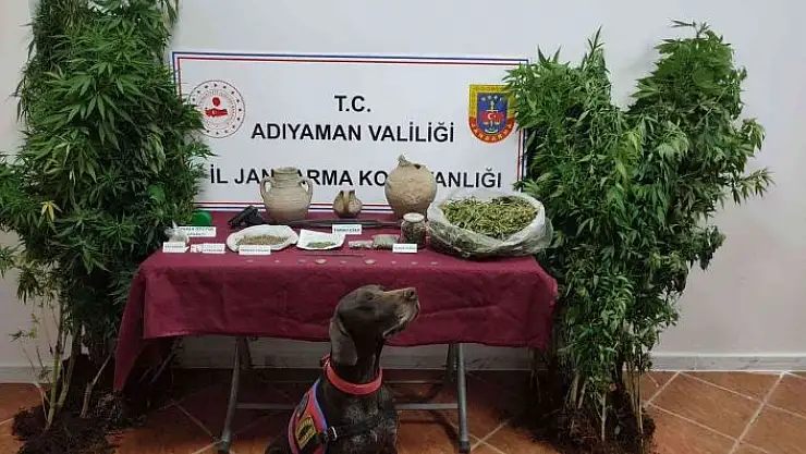 'Jandarma hem tarihi eser hem uyuşturucu ele geçirdi'