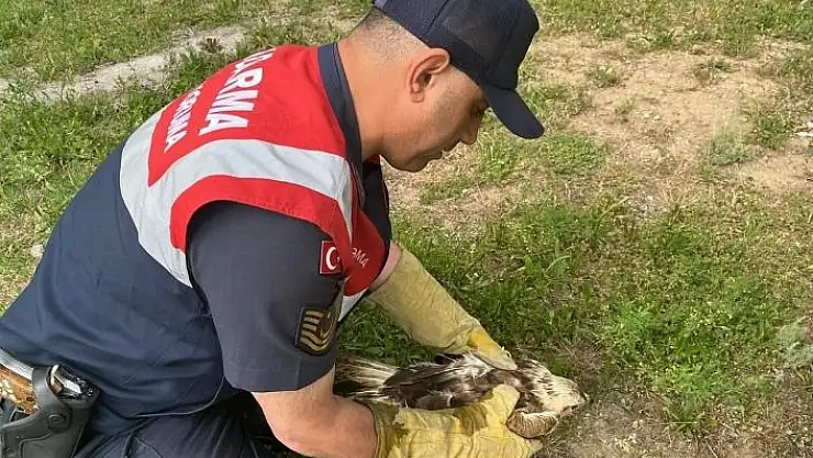 'jandarma kanat oldu'