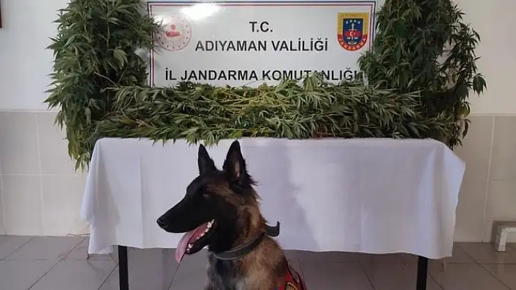 'Jandarma uyuşturucuya geçit vermiyor'