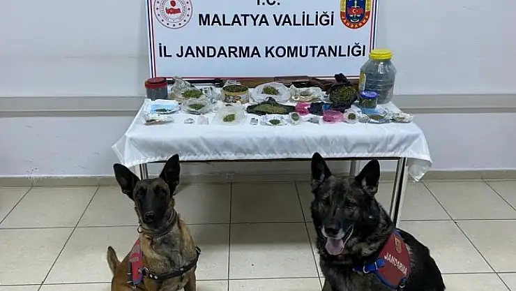 'Jandarmadan 4 adrese uyuşturucu operasyonu'