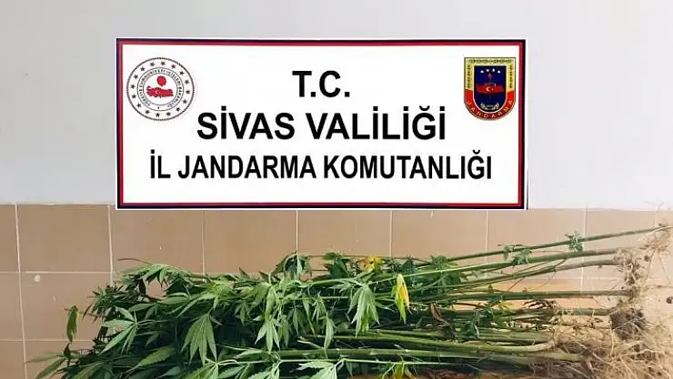 'Jandarmadan büyük operasyon,  onlarca olay aydınlatıldı'