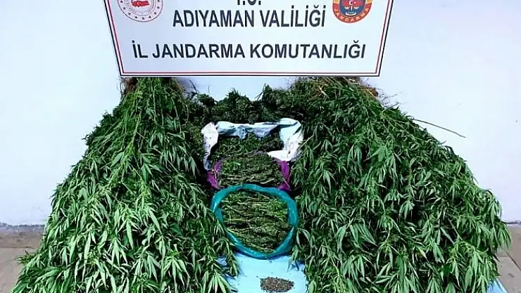 'Jandarmadan uyuşturucu operasyonu'