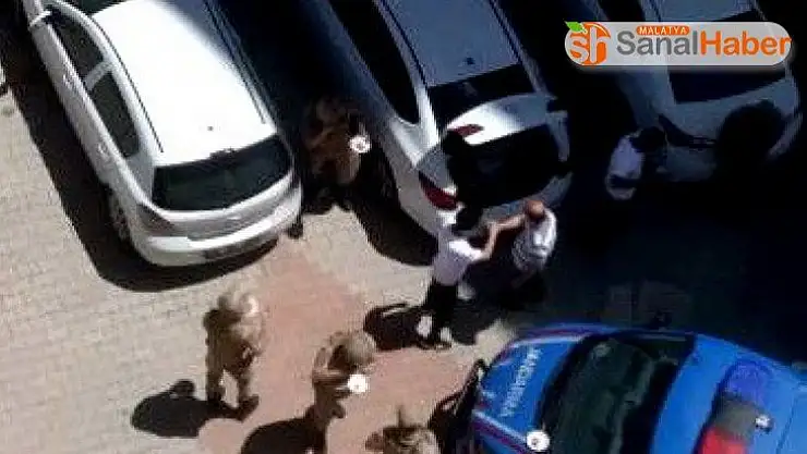 Jandarmaya bayram sürprizi