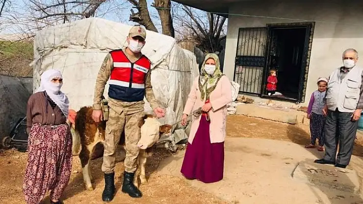 'JASAT, hayvan hırsızlığı olayını aydınlattı'