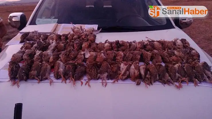 Kaçak bıldırcın avı cezasız kalmadı