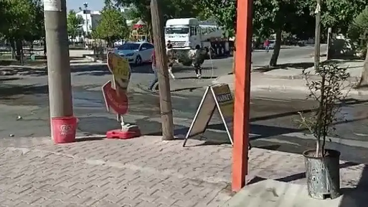 'Kaçan dana zor anlar yaşattı'