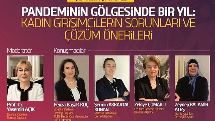 'Kadın girişimcilerin sorunları panelle ele alınacak'