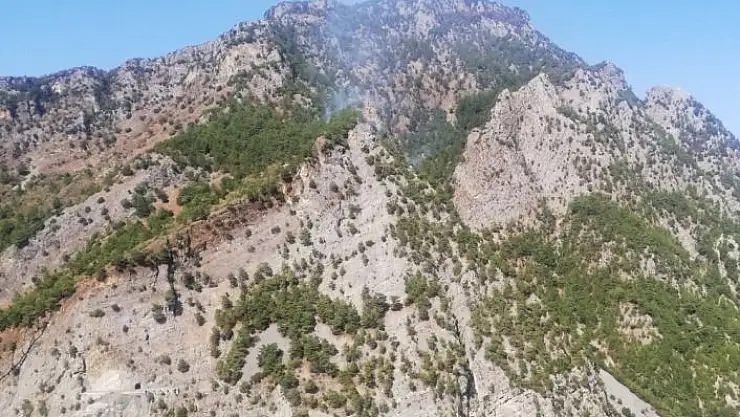 'Kahramanmaraş´ta 1 hektar ormanlık alan yandı'