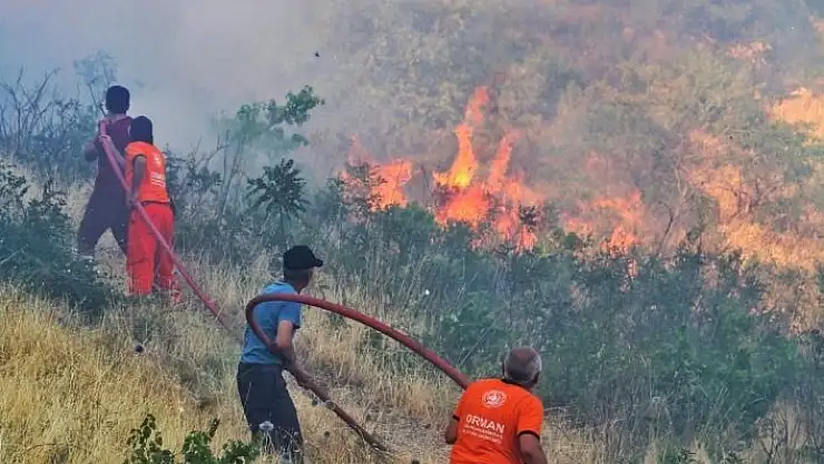 'Kahramanmaraş´ta 10 hektar orman zarar gördü'