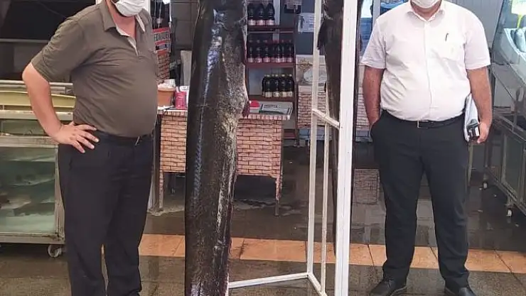 'Kahramanmaraş´ta 2 metrelik balık yakalandı'